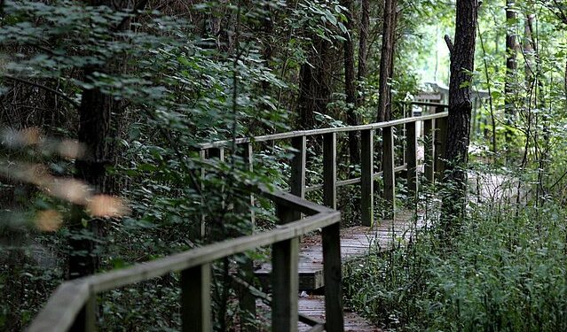 El pastor y la evangelización